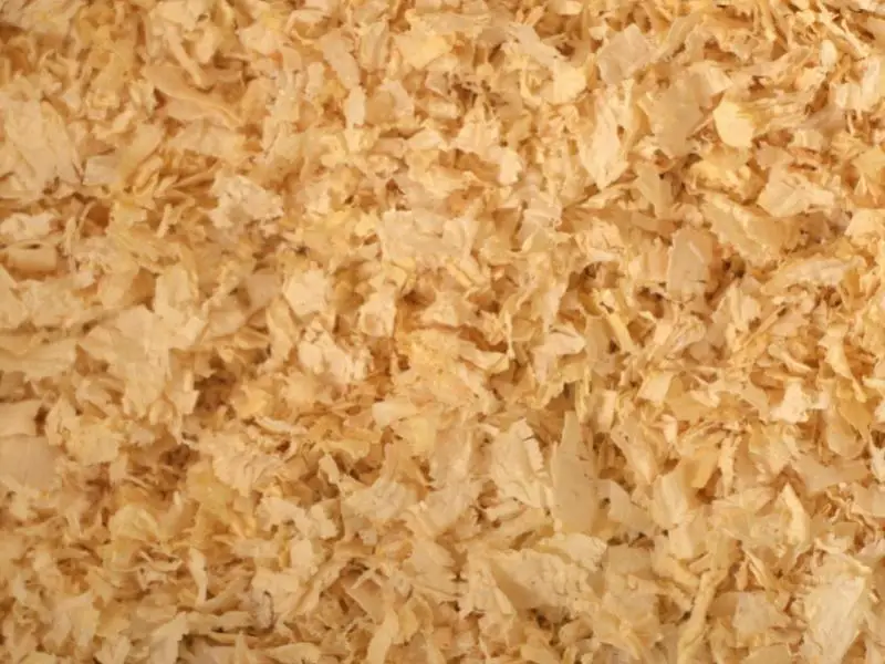 Pine Shavings for Rabbit Beds Controversies