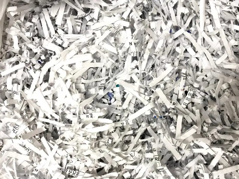 Can You Use Shredded Paper for Rabbit Bedding