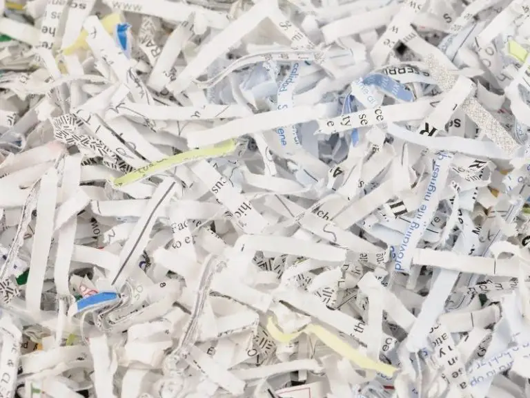 Can You Use Shredded Paper for Rabbit Litter? Rabbit Guide 2024