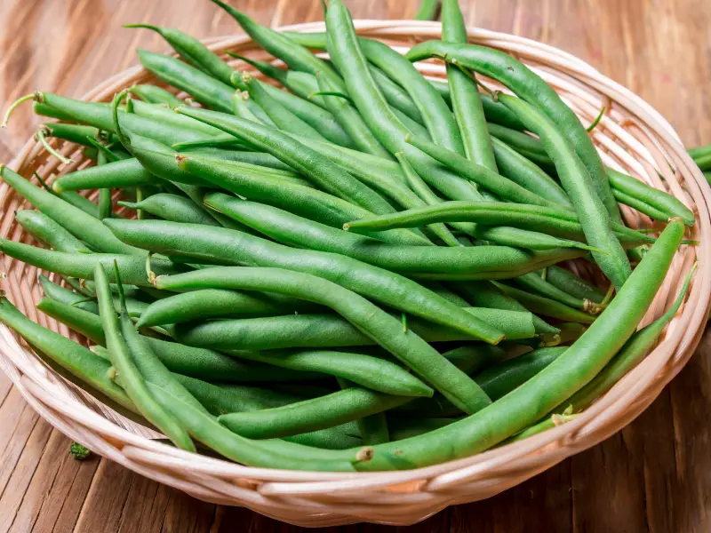 Benefits of Feeding Green Beans to Rabbits