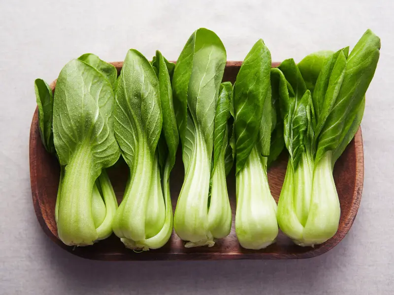 Risks of Feeding Too Much Bok Choy to Rabbits